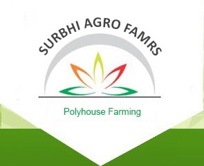 Surbhi Agro Farm Logo